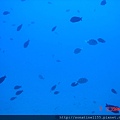 DSC00119