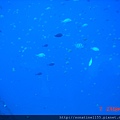 DSC00123