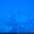 DSC00125