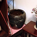 20140328_151251.jpg