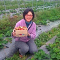 野百合王董妹妹王小姐農場採草莓 