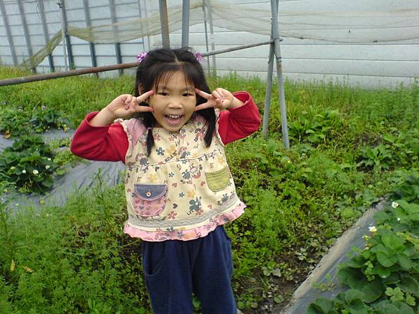 潘小妹妹草莓園留影