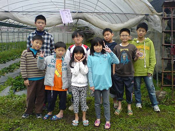 台北郭鑑德先生一行人的小朋友參觀草莓園