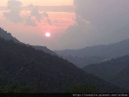 3月1日茶園的夕陽