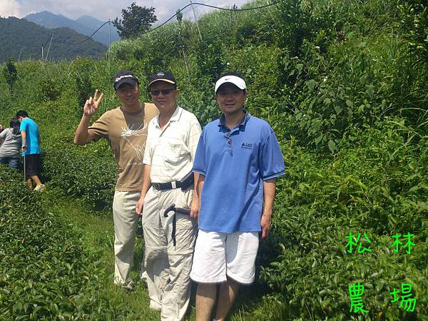 新竹林先生一行人參觀茶園