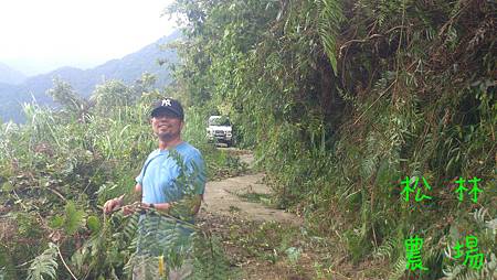 歐陽采亭一家幫忙整理到茶園的路