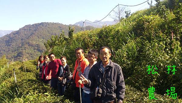 表姊夫一行人參觀茶園