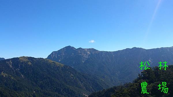 合歡山區沿途的美景