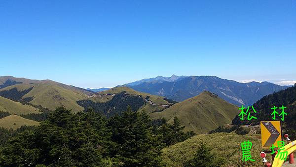 合歡山區沿途的美景