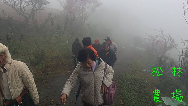 朋友楊正益一行人到茶園參觀