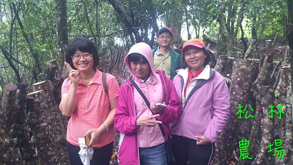 法先、美惠夫妻、曹月香，羅淑芬參觀木頭香菇現場