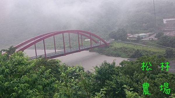 5月26日梅雨造成溪水暴漲