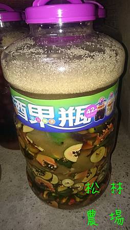 青木瓜製作酵素