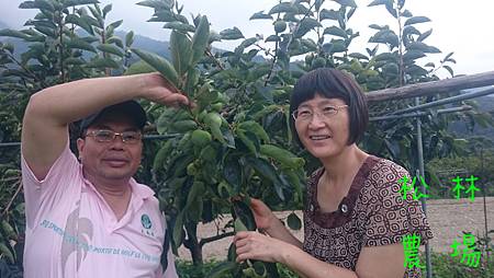 同學明耀和惠玉到農場半日遊