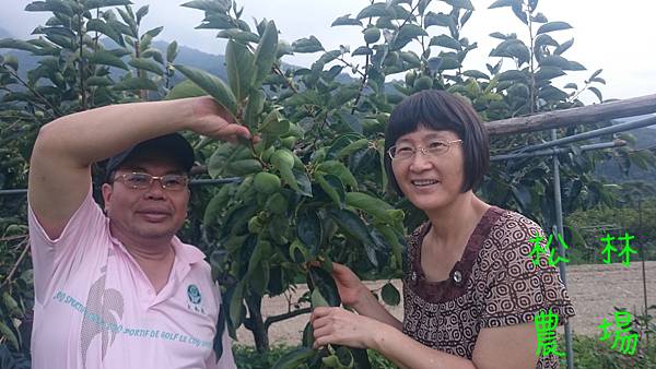 同學明耀和惠玉到農場半日遊