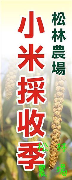 小米採收季旗幟