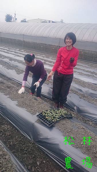 粉絲團麗修和秀玫周日也來體驗