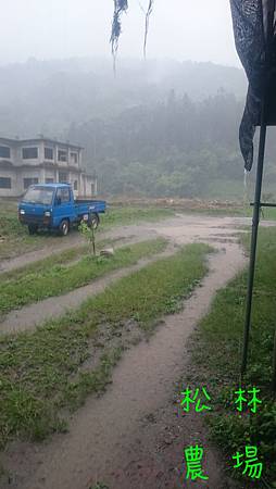 4月15日下午的豪雨