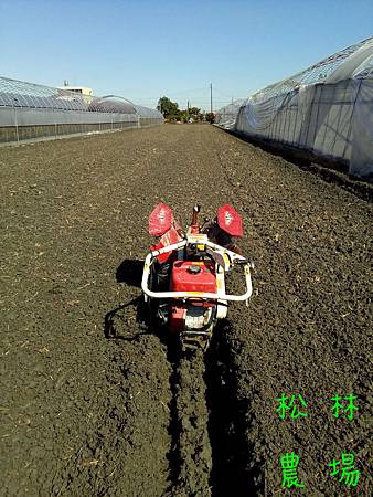 20161124田尾的地挖溝整地種植紅豆
