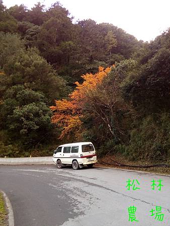 20161213到梨山沿路的風景