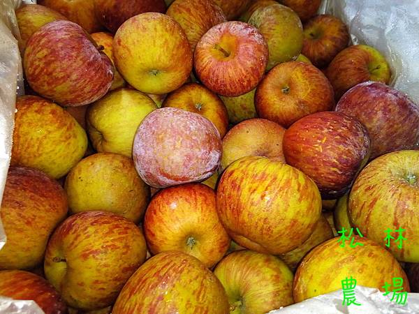 20161231田尾門市的蜜蘋果