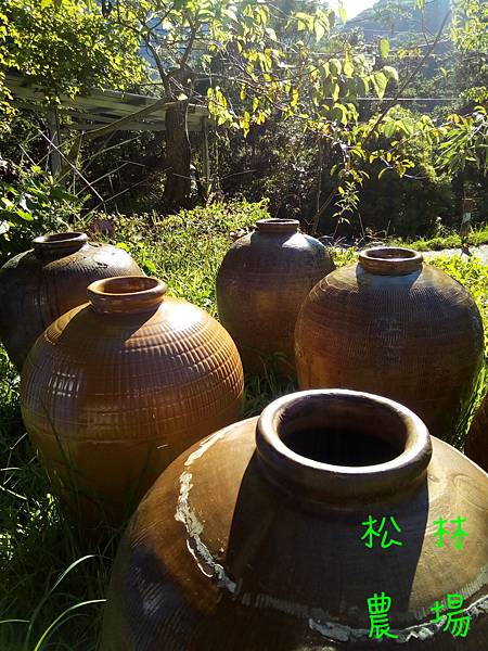 20170816清洗準備製作老茶的瓷器