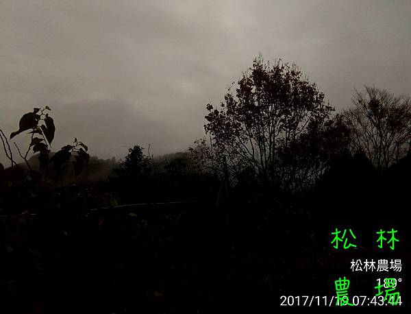 松林農場20171119早晨陰雨