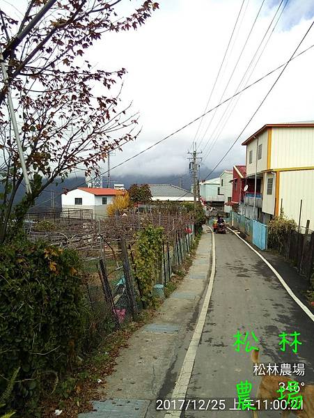 松林農場20171225_110021.jpg