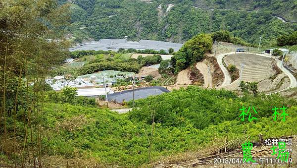 松林農場20180424果樹區