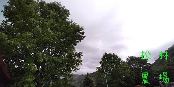 20190503天氣陰雨