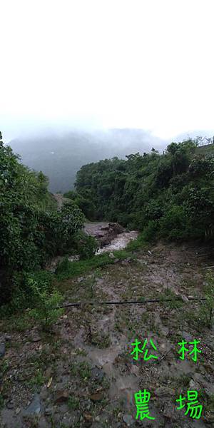 20190518豪雨的天氣