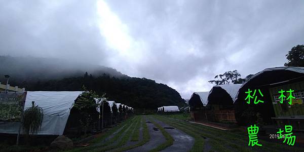 20190613梅雨