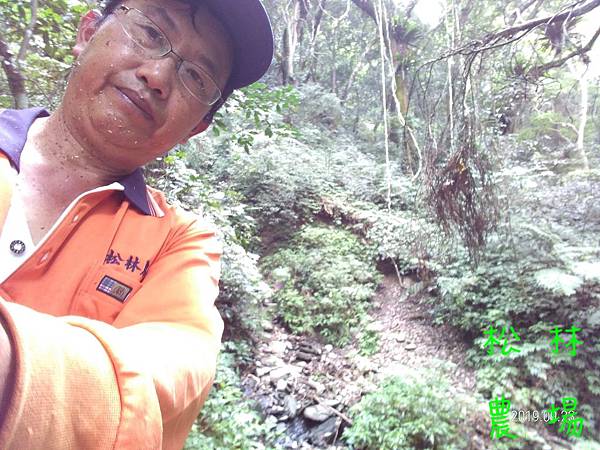 P_20190923冬季水源頭山路砍草