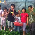台中海聲中小學學生春假農場採草莓