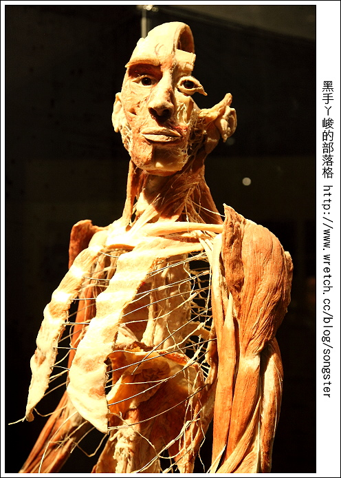 台北 內有大量人體照片 請小心慎入 全新人體奧妙生命循環展 黑手ㄚ峻的部落格 痞客邦 台北 內有大量人體照片 請小心慎入 全新人體奧妙生命循環展 黑手ㄚ峻的部落格 痞客邦