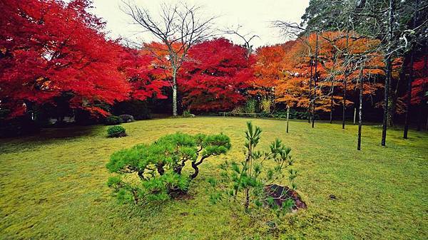 06-京都賞楓大河內山莊- (8).jpg