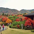 30-京都賞楓大河內山莊- (23)-1.JPG