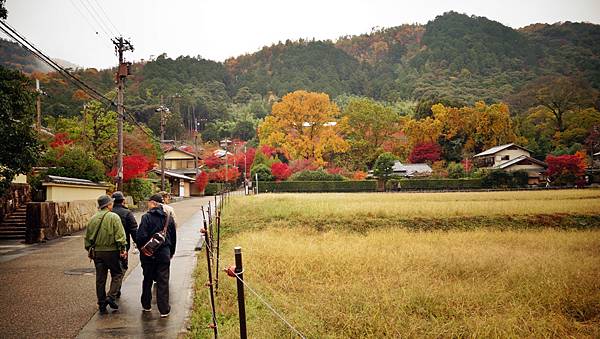 03-京都-常寂光- (0)-60.JPG