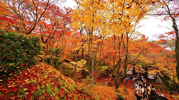 03-京都-常寂光- (10).JPG