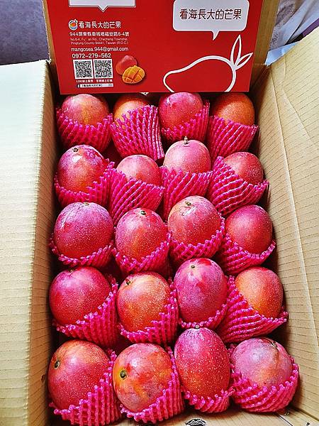 52137506134_38296a8f94_o