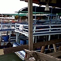 IMG-20110910-00269.jpg