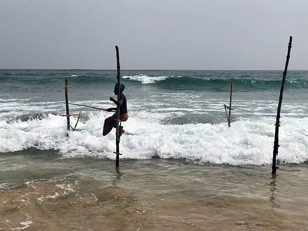 韋利格默立釣雖淪為表演居多，但仍為斯里蘭卡代表風情！