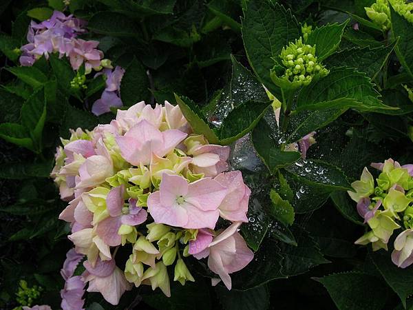 DSCN7211.JPG DSCN7211.JPG