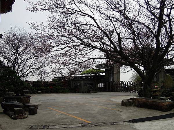 DSCN1970.JPG DSCN1970.JPG