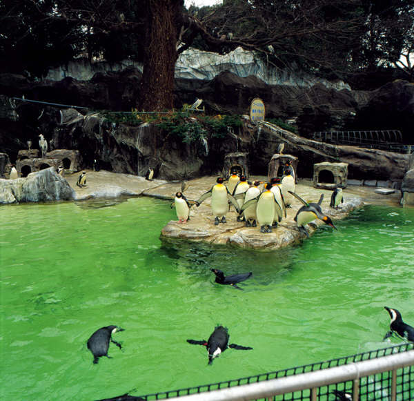 上野動物園