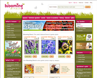 bloomingdirect