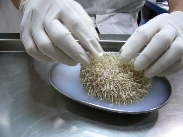 新資料夾-P1000498.JPG
