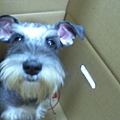 新資料夾-06-11-29_09-19.jpg