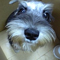 新資料夾-06-11-29_16-59.jpg