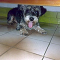 新資料夾-20070722416.jpg
